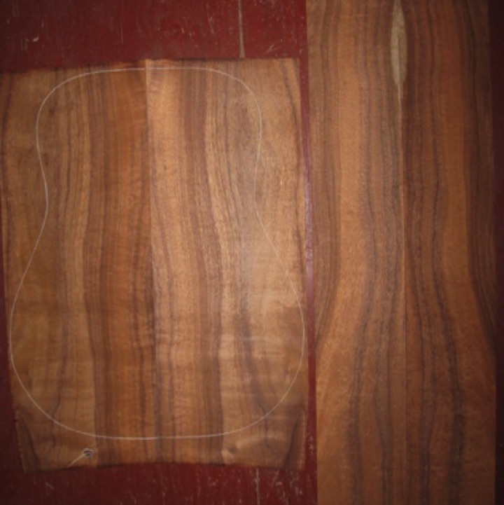 Koa OM/Dreadnought AA+ $175
(2) back plates 8-1/4" x 22"
(2) side plates 5" x 33-1/2"
Air dried since 2006, 16" dreadnought pattern shown, rich orange-red-brown, stripes, good figure, straight grain.
set #131-1019 Koa OM/Dreadnought AA+ $175
(2) back plates 8-1/4" x 22"
(2) side plates 5" x 33-1/2"
Air dried since 2006, 16" dreadnought pattern shown, rich orange-red-brown, stripes, good figure, straight grain.
set #131-1019
