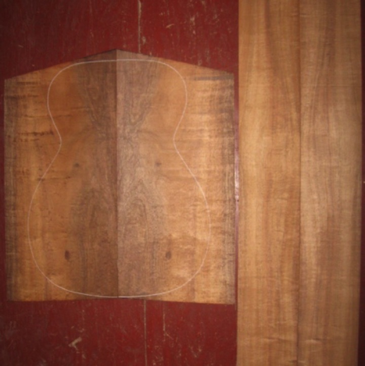 Koa OM/CL AAA $200
(2) back plates 9-1/2" x 20-1/2"
(2) side plates 5" x 32"
Air dried since 2006, 15-1/4" concert pattern shows a tight/tenable fit; rare and beautiful pomelle-quilt figure.
set #137-1132 Koa OM/CL AAA $200
(2) back plates 9-1/2" x 20-1/2"
(2) side plates 5" x 32"
Air dried since 2006, 15-1/4" concert pattern shows a tight/tenable fit; rare and beautiful pomelle-quilt figure.
set #137-1132