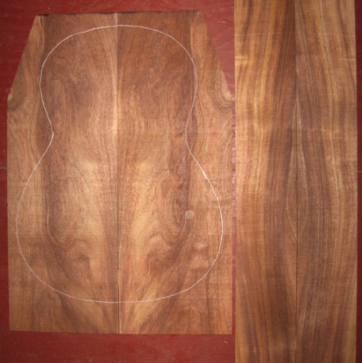 Koa Parlor/Classical A+ grade $80
(2) back plates 8" x 23" (taper to 6" width)
(2) side plates 4-1/4" x 30-1/2"
Air dried since 2006, 14-3/4" classical pattern shown, rich orange-brown color, rift/flatsawn figure.
set #138-1388 Koa Parlor/Classical A+ grade $80
(2) back plates 8" x 23" (taper to 6" width)
(2) side plates 4-1/4" x 30-1/2"
Air dried since 2006, 14-3/4" classical pattern shown, rich orange-brown color, rift/flatsawn figure.
set #138-1388