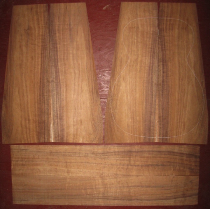 6-pc Koa OM/CL AA+ $240
(4) top-back plates 8-1/2" x 23" (tapers as shown)
(2) side plates 5-1/8" x 32"
Air dried since 2006, 15-1/4" OM pattern shown, straight grain, rich colors and stripes, medium curl.
set #136-1612 6-pc Koa OM/CL AA+ $240
(4) top-back plates 8-1/2" x 23" (tapers as shown)
(2) side plates 5-1/8" x 32"
Air dried since 2006, 15-1/4" OM pattern shown, straight grain, rich colors and stripes, medium curl.
set #136-1612