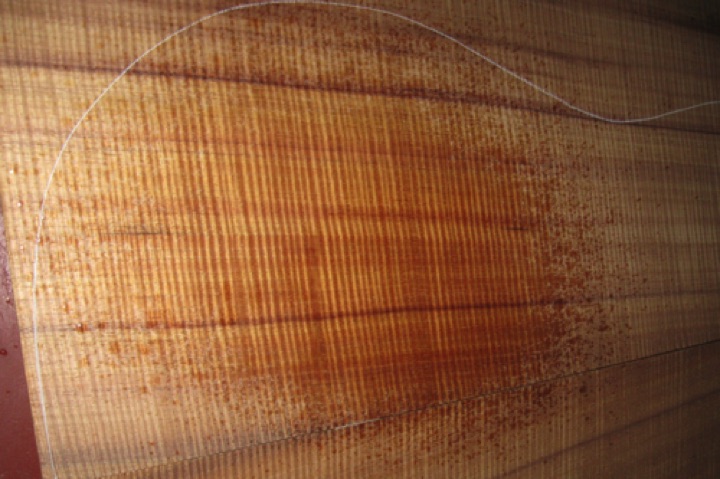 closeup, wetted
set #118-1740