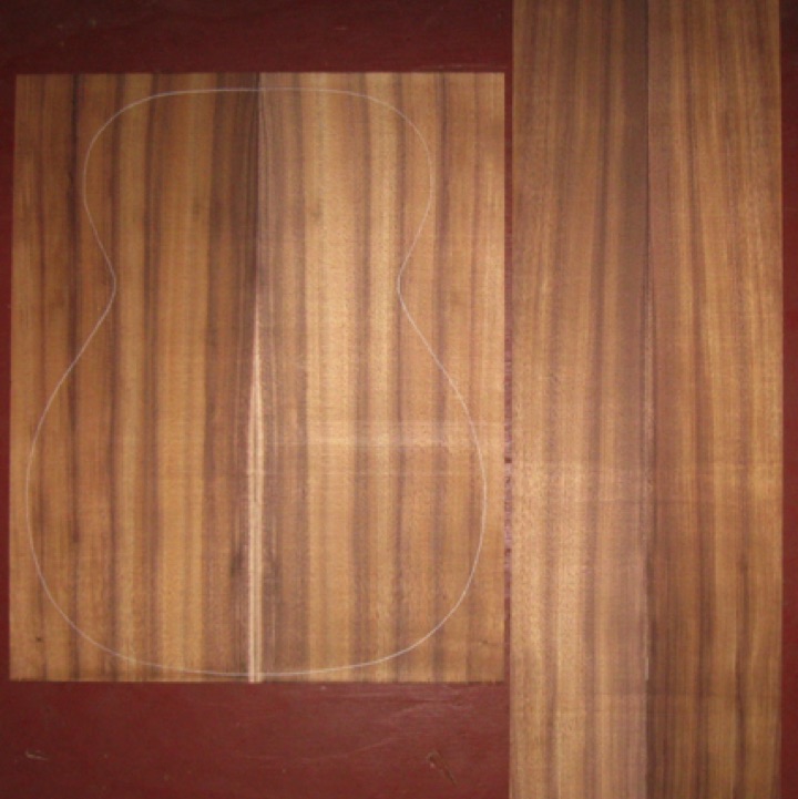 Koa OM/CL AA $95
(2) back plates 8-1/4" x 20-1/2"
(2) side plates 4-1/2 x 31"
Air dried since 2013, vertical grain, rich color and striping, light curl.
set #161-1816 Koa OM/CL AA $95
(2) back plates 8-1/4" x 20-1/2"
(2) side plates 4-1/2 x 31"
Air dried since 2013, vertical grain, rich color and striping, light curl.
set #161-1816