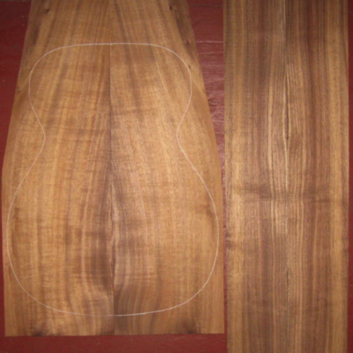 Koa OM/CL AA+ $145
(2) back plates 8" x 25-1/2"
(2) side plates 4-1/2" x 32-1/4"
Air dried since 2010, 15-1/4" OM pattern shown, variety of color and stripes, with good flame-curl.
set #193-1884 Koa OM/CL AA+ $145
(2) back plates 8" x 25-1/2"
(2) side plates 4-1/2" x 32-1/4"
Air dried since 2010, 15-1/4" OM pattern shown, variety of color and stripes, with good flame-curl.
set #193-1884