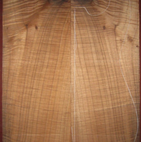 Koa Electric/Bass Top 5A $150
(2) top plates 7" x 20" .135" thick
Air dried since 2015, 13" x 18-1/2" pattern shown, rare primo fiddleback curl. Knots will require filling, or might be hidden w/hardware.
set #170-1091