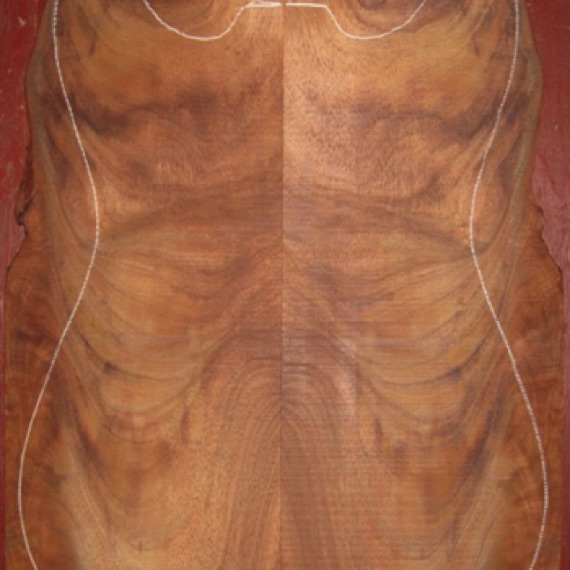 Koa Electric/Bass Top AA $45
(2) top plates 6-3/4" x 19-1/2", taper as shown
Air dried since 2006, 13" x 18-1/2" electric pattern shown, lots of color and figure.
(4) consecutive sets available - set #138-1111 Koa Electric/Bass Top AA $45
(2) top plates 6-3/4" x 19-1/2", taper as shown
Air dried since 2006, 13" x 18-1/2" electric pattern shown, lots of color and figure.
(4) consecutive sets available - set #138-1111