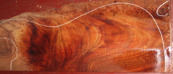 closeup, wetted
set #138-1111