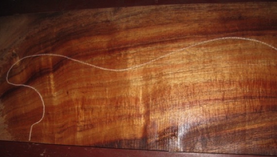 closeup, wetted
set #138-1145