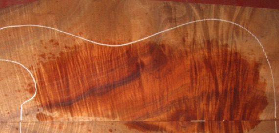 closeup, wetted
set #165-2194
