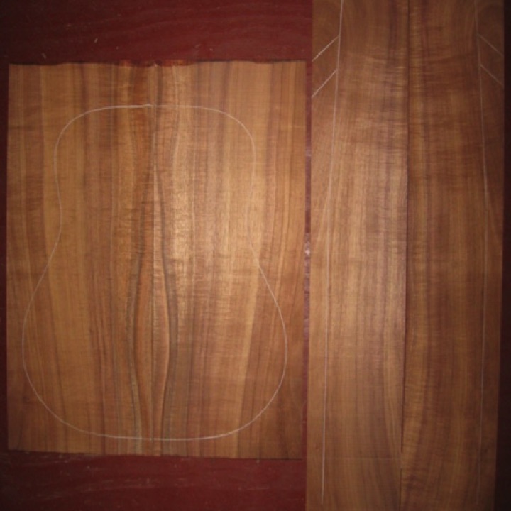 Koa OM/Dreadnought AAA  $300
(2) back plates 9" x 24"
(2) side plates 5-3/4" x 33-1/2"
Air dried since 2015, 16" dred pattern shown, vibrant curl with striping, straight and vertical grain.
(2) consecutive sets available   -   set #170-1416