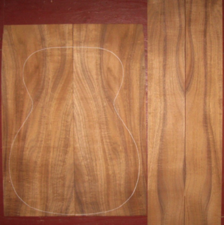 Koa OM/CL AAA $245
(2) back plates 8-3/8" x 22" (tapers to 8")
(2) side plates 4" x 35-3/8"
Air dried since 2010, 15-1/4" OM pattern shown, good flame-curl; bright orange-brown colors.
(2) consecutive sets available - set #193-1951 Koa OM/CL AAA $245
(2) back plates 8-3/8" x 22" (tapers to 8")
(2) side plates 4" x 35-3/8"
Air dried since 2010, 15-1/4" OM pattern shown, good flame-curl; bright orange-brown colors.
(2) consecutive sets available - set #193-1951