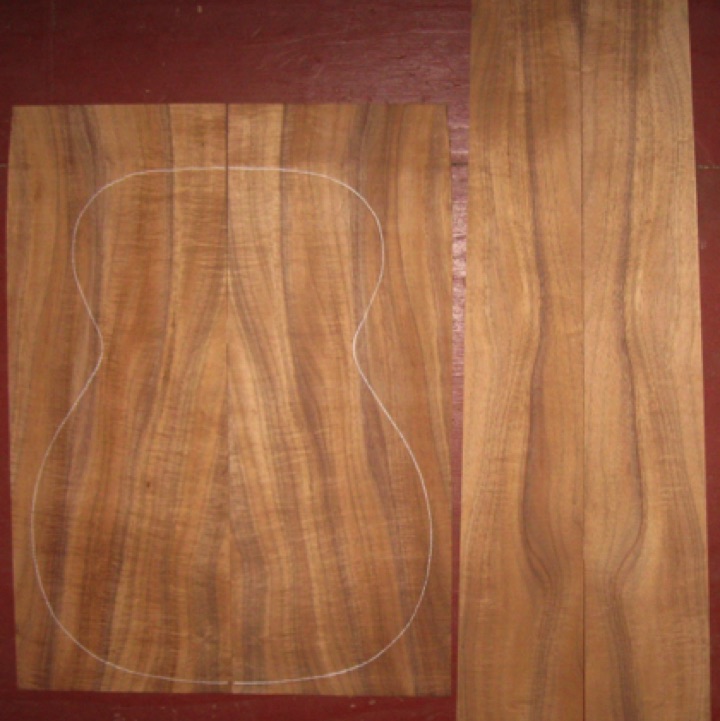 Koa OM/CL AAA $285
(2) back plates 8-1/4" x 22-1/2"
(2) side plates 5" x 32" (tapers to 4")
Air dried since 2010, 15-1/4" OM pattern shown, good flame-curl; rich orange-brown colors.
(3) consecutive sets available - set #196-1954 Koa OM/CL AAA $285
(2) back plates 8-1/4" x 22-1/2"
(2) side plates 5" x 32" (tapers to 4")
Air dried since 2010, 15-1/4" OM pattern shown, good flame-curl; rich orange-brown colors.
(3) consecutive sets available - set #196-1954