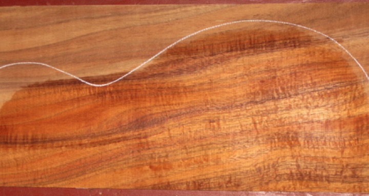 closeup, wetted
set #196-1954