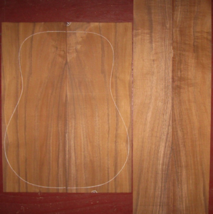 Koa OM/Dreadnought AA $135
(2) back plates 8-1/2" x 22"
(2) side plates 5" x 32-1/2"
Air dried since 2010, 16" dred pattern shown, Bright orange-brown old-growth, with light-med curl.
(2) consecutive sets available - set #193-1976 Koa OM/Dreadnought AA $135
(2) back plates 8-1/2" x 22"
(2) side plates 5" x 32-1/2"
Air dried since 2010, 16" dred pattern shown, Bright orange-brown old-growth, with light-med curl.
(2) consecutive sets available - set #193-1976