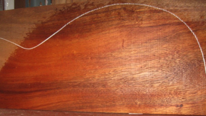 closeup, wetted
set #161-2103