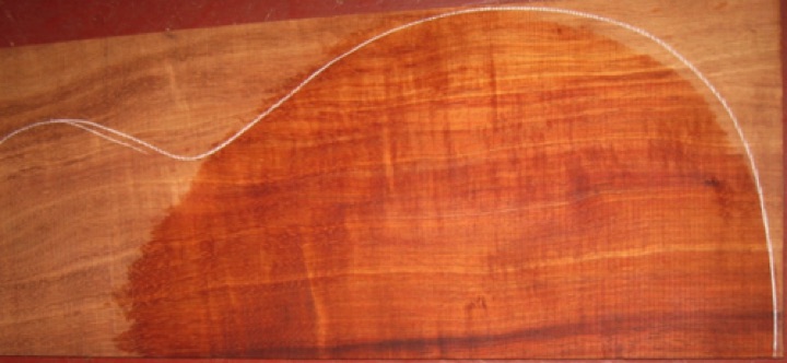 closeup, wetted
set #175-2162