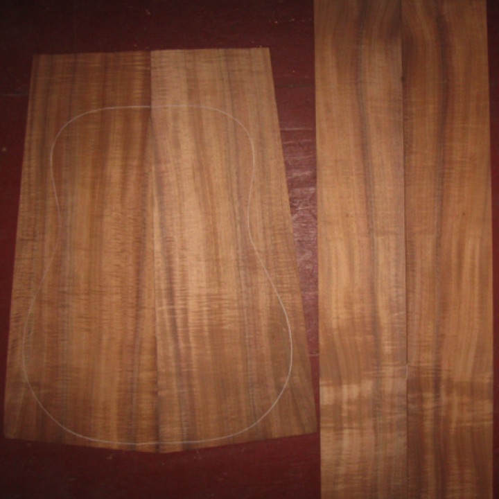 Koa OM/Dreadnought AAA+ $440
(2) back plates 9-1/2" x 24" (tapers to 7")
(2) side plates 5-1/8" x 32-3/4"
Air dried since 2018, 16" dred pattern shown, vibrant curl with striping; vertical grain.
set #212-2227 Koa OM/Dreadnought AAA+ $440
(2) back plates 9-1/2" x 24" (tapers to 7")
(2) side plates 5-1/8" x 32-3/4"
Air dried since 2018, 16" dred pattern shown, vibrant curl with striping; vertical grain.
set #212-2227