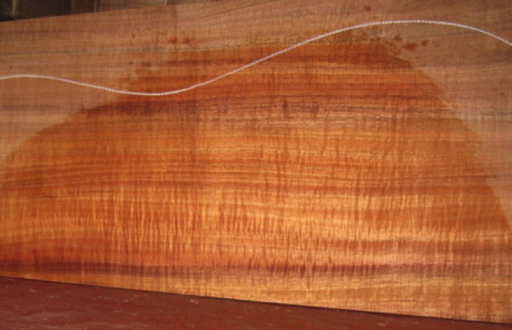 closeup, wetted
set #212-2227