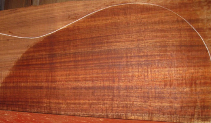 closeup, wetted
set #174-2301