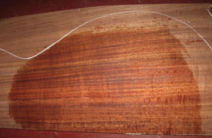 closeup, wetted
set #174-2302