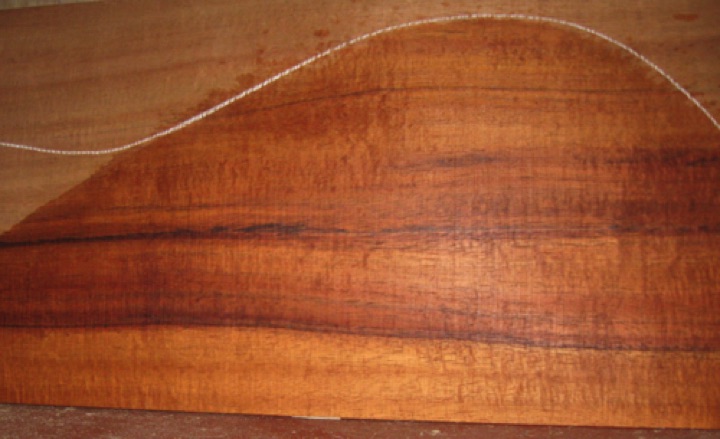 closeup, wetted
set $191-2343
Minor pair of whorls on back and sides; arguably a feature. No attention required during finishing.
Especially tight crinkle curl on back plates. closeup, wetted
set $191-2343
Minor pair of whorls on back and sides; arguably a feature. No attention required during finishing.
Especially tight crinkle curl on back plates.
