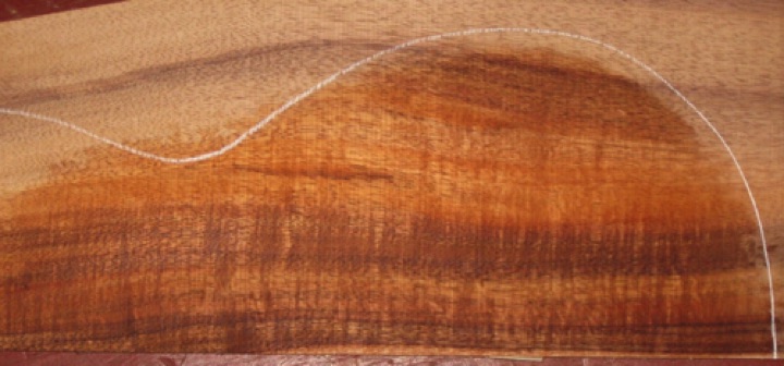 closeup, wetted
set #161-2350