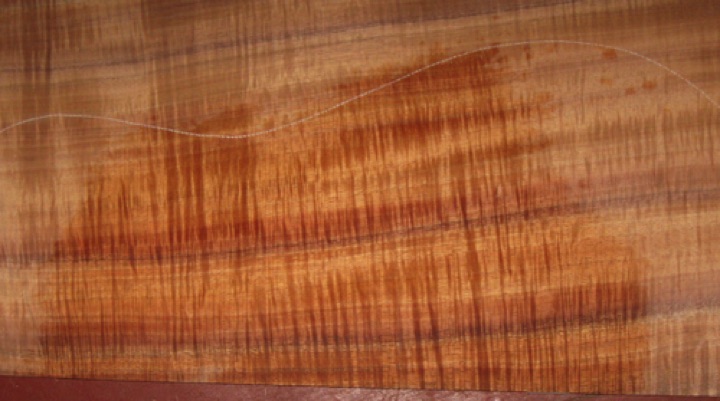 closeup, wetted
set #212-2442