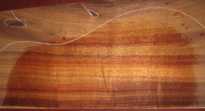 closeup, wetted
set #161-2450