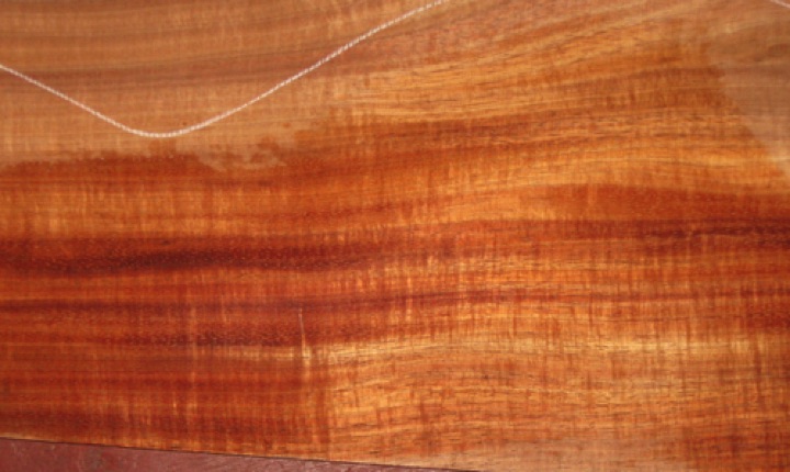 closeup, wetted
set #177-2455