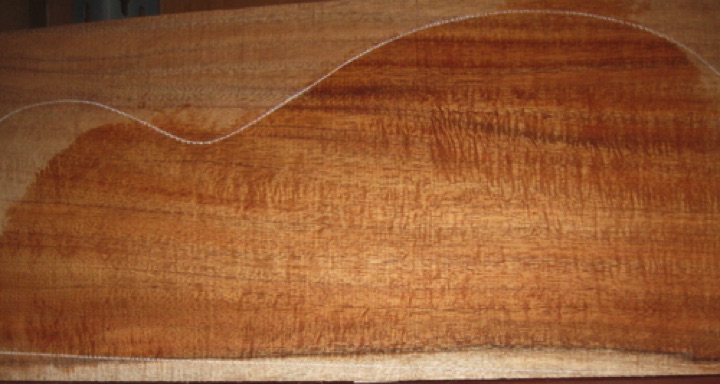 closeup, wetted
set #173-2475