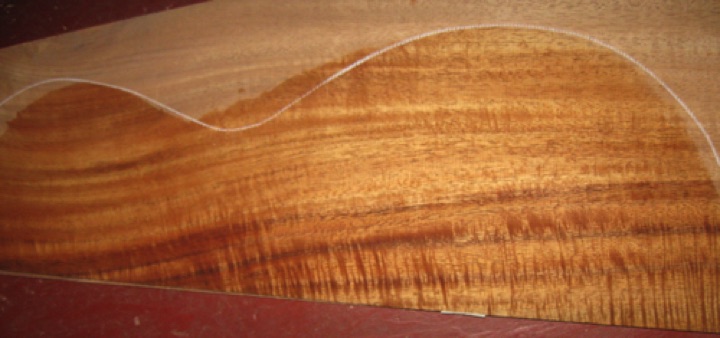 closeup, wetted
set #173-2487