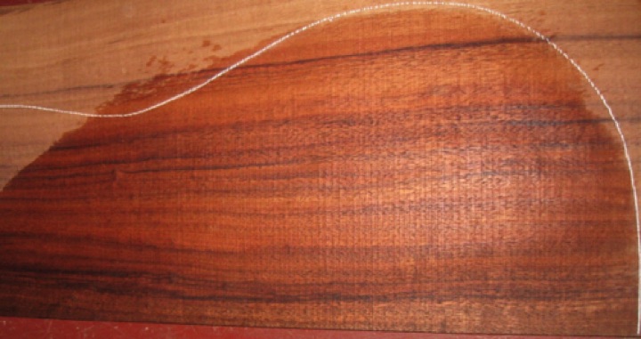 closeup, wetted
set #196-1543