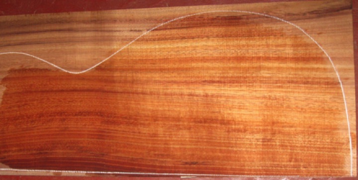 closeup, wetted
set #205-1895