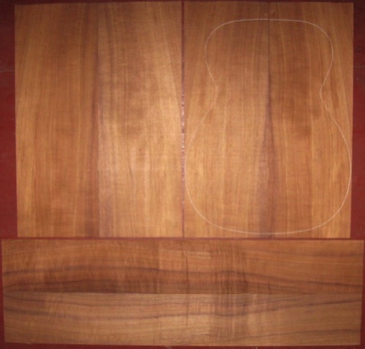 6-pc koa 0M/CL AA+ $285
(4) top-back plates 7-3/4" x 21-3/4"
(2) side plates 5" x 34"
Air dried since 2016, 15-1/4" OM pattern shown, straight & vertical grain, bright orange-brown with medium flame.
set #175-2032 6-pc koa 0M/CL AA+ $285
(4) top-back plates 7-3/4" x 21-3/4"
(2) side plates 5" x 34"
Air dried since 2016, 15-1/4" OM pattern shown, straight & vertical grain, bright orange-brown with medium flame.
set #175-2032