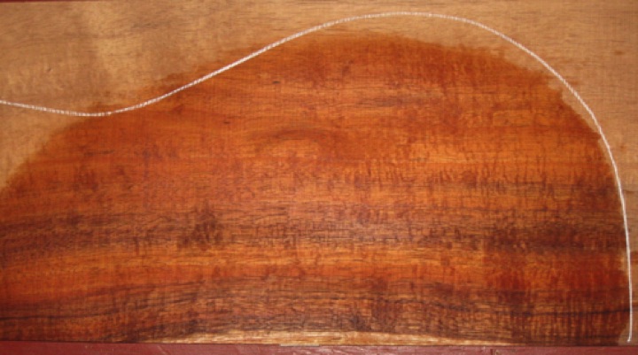 closeup, wetted
set #161-2101
