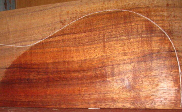 closeup, wetted
set #206-2502
Tight whorl seen at lower bout (above) can be featured, or pattern can be flipped with whorl placed in soundhole cutout or under fretboard. closeup, wetted
set #206-2502
Tight whorl seen at lower bout (above) can be featured, or pattern can be flipped with whorl placed in soundhole cutout or under fretboard.