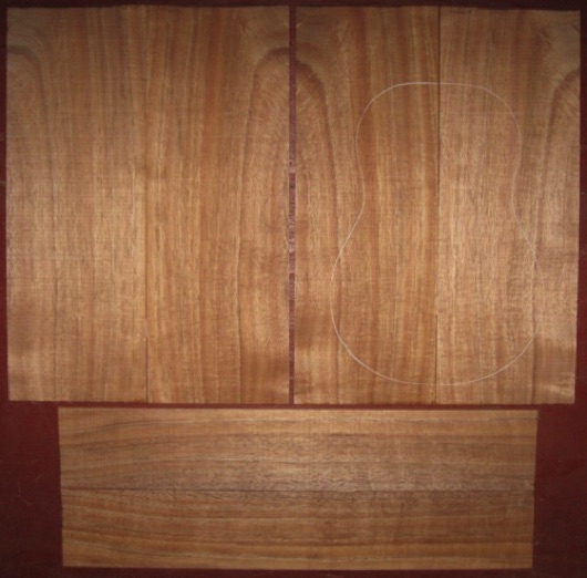 Koa Tenor 'Ukulele AA+ $115
(4) top-back plates 5-1/2" x 16"
(2) side plates 3-1/4" x 19-1/2"
Air dried since 2016, tenor pattern shown, bright koa w/tight curl, straight, vertical grain.
set #178-1454 Koa Tenor 'Ukulele AA+ $115
(4) top-back plates 5-1/2" x 16"
(2) side plates 3-1/4" x 19-1/2"
Air dried since 2016, tenor pattern shown, bright koa w/tight curl, straight, vertical grain.
set #178-1454