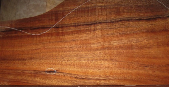 closeup, wetted
set #206-2289
Tight knot on back plates (circled, left bookmatch). Inclusion on top plates (middle bookmatch), 12" up from tail end; could be placed in sound hole (verify your pattern). Inquire for closeups. closeup, wetted
set #206-2289
Tight knot on back plates (circled, left bookmatch). Inclusion on top plates (middle bookmatch), 12" up from tail end; could be placed in sound hole (verify your pattern). Inquire for closeups.