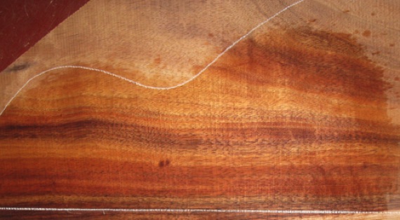 closeup, wetted
set #162-2531
Sapwood on top bookmatch (middle of 1st photo) will be hidden under fingerboard. Pattern can be laid out to avoid sapwood on back. closeup, wetted
set #162-2531
Sapwood on top bookmatch (middle of 1st photo) will be hidden under fingerboard. Pattern can be laid out to avoid sapwood on back.