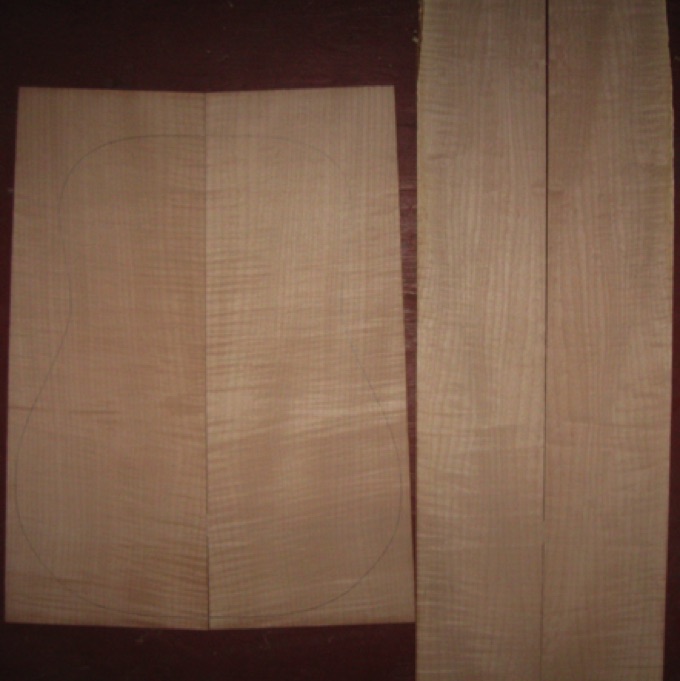 Curly Maple D/Jumbo AAA+  $100
(2) back plates 8-3/4" x 22-1/2" (tapers to 7-3/4")
(2) side plates 5-1/4" x 31-7/8" (tapers to 4-3/4")
Air dried since 2009, full curl, clean white color, 16" dred pattern shown; straight and vertical grain.
set #146-2402