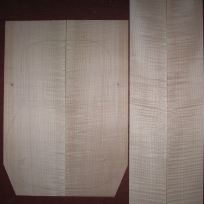 Curly Maple D/Jumbo AAA  $85
(2) back plates 8-3/8" x 23-3/4" )tapers to 6-5/8")
(2) side plates 5" x 34"
Air dried since 2009, good curl, clean white color, 16" dred pattern shown; straight and vertical grain.
set #146-2449