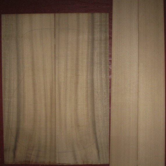 Myrtle OM/CL AAA $100
(2) back plates 8-3/8" x 24"
(2) side plates 4-1/2" x 34" (tapers to 4" width)
Air dried since 2017, light curl, 15-1/4" pattern shown; straight and vertical grain. Beautiful.
set #182-1352 Myrtle OM/CL AAA $100
(2) back plates 8-3/8" x 24"
(2) side plates 4-1/2" x 34" (tapers to 4" width)
Air dried since 2017, light curl, 15-1/4" pattern shown; straight and vertical grain. Beautiful.
set #182-1352