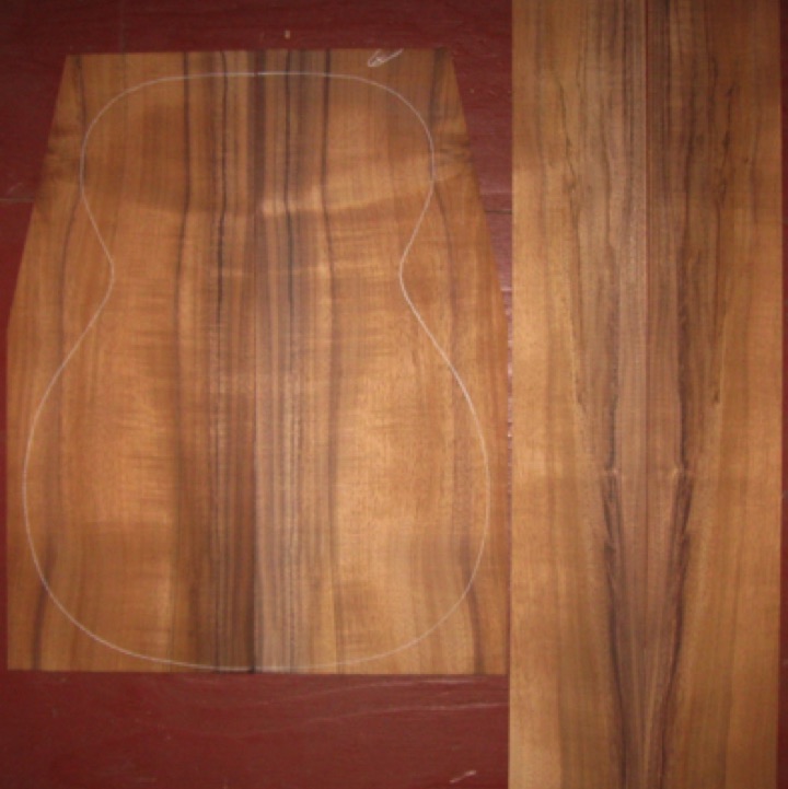 Koa OM/CL A+ $85
(2) back plates 8-1/4" x 20-1/2" (tapers to 6-1/8")
(2) side plates 4-3/8" x 32-5/8"
Air dried since 2016, 15-1/4" OM pattern shown, vertical grain; med flame.
(3) consecutive sets available - set #181-2078 Koa OM/CL A+ $85
(2) back plates 8-1/4" x 20-1/2" (tapers to 6-1/8")
(2) side plates 4-3/8" x 32-5/8"
Air dried since 2016, 15-1/4" OM pattern shown, vertical grain; med flame.
(3) consecutive sets available - set #181-2078