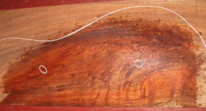 closeup, wetted
set #193-2092
Two tight knots on back (circled, above); minor filling may be req'd during finishing. Two tiny (1 mm) beetle holes along edge of sides (circled in 1st photo), to be filled or trimmed away when profiling sides. closeup, wetted
set #193-2092
Two tight knots on back (circled, above); minor filling may be req'd during finishing. Two tiny (1 mm) beetle holes along edge of sides (circled in 1st photo), to be filled or trimmed away when profiling sides.