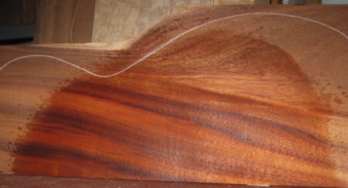 closeup, wetted
set #161-2368