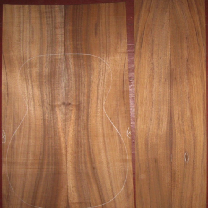 Koa OM/Classical AA $110
(2) back plates 8-3/4" x 26" (tapers to 7-3/4")
(2) side plates 4-1/2" x 33"
Air dried since 2019, 15-1/4 OM pattern shown, vertical grain, light flame.
set #206-2370 Koa OM/Classical AA $110
(2) back plates 8-3/4" x 26" (tapers to 7-3/4")
(2) side plates 4-1/2" x 33"
Air dried since 2019, 15-1/4 OM pattern shown, vertical grain, light flame.
set #206-2370