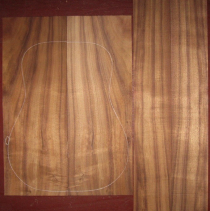Koa OM/Dreadnought AA $120
(2) back plates 8-5/8" x 24-1/4"
(2) side plates 5" x 32"
Air dried since 2013, 16" dred pattern shown, bold striping, light curl with whorls at lower bout.
set #162-2375 Koa OM/Dreadnought AA $120
(2) back plates 8-5/8" x 24-1/4"
(2) side plates 5" x 32"
Air dried since 2013, 16" dred pattern shown, bold striping, light curl with whorls at lower bout.
set #162-2375