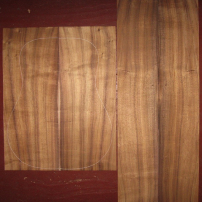 Koa OM/Dreadnought AA $120
(2) back plates 8-3/4" x 22"
(2) side plates 6-1/4" x 35"
Air dried since 2013, 16" dred pattern shown, bold striping, bright color, light-med. curl.
set #162-2529 Koa OM/Dreadnought AA $120
(2) back plates 8-3/4" x 22"
(2) side plates 6-1/4" x 35"
Air dried since 2013, 16" dred pattern shown, bold striping, bright color, light-med. curl.
set #162-2529
