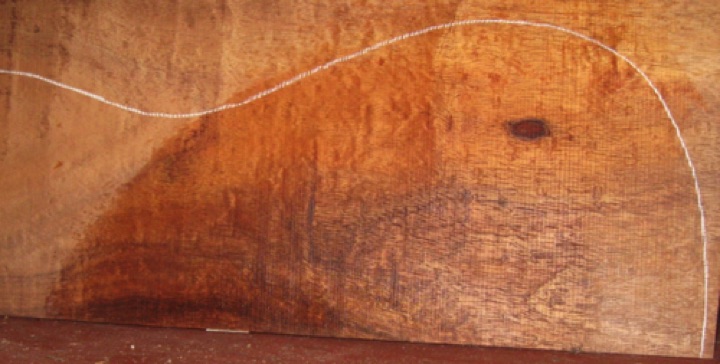 closeup, wetted
set #138-2282
Open knot at lower bout (circled). It is tight and stable but will require a little filling during finishing. closeup, wetted
set #138-2282
Open knot at lower bout (circled). It is tight and stable but will require a little filling during finishing.