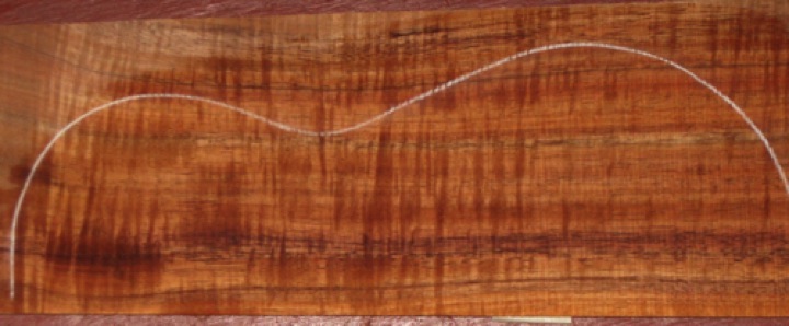 closeup, wetted
set #212-2365