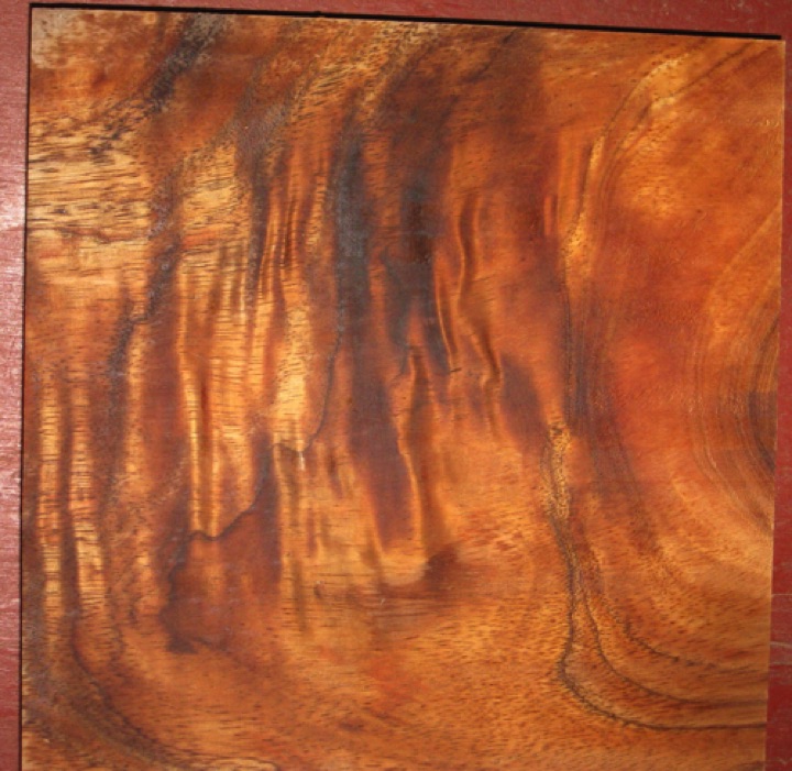 Curly koa $33 + $9.00 shipping
7" x 7", planed to 1" thickness.
Strong compression curl. Air dried since 2010.
face #1 - board #193-2183 Curly koa $33 + $9.00 shipping
7" x 7", planed to 1" thickness.
Strong compression curl. Air dried since 2010.
face #1 - board #193-2183